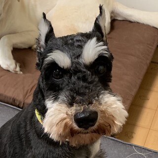 凄く甘えたな女の子♪