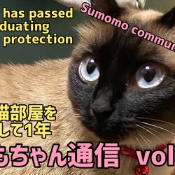 【すももちゃん通信③】