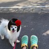 まいまいきん