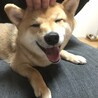 やこゆき
