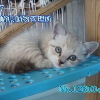 ありがとうございました。