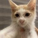 相談中です☆