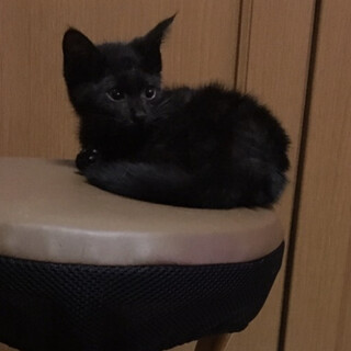 まっくろな大黒さん