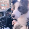 愛犬らぶ♡