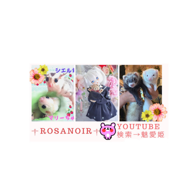 RosaNoir1130のカバー写真