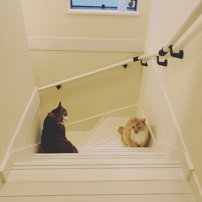 えいみ0707のカバー写真