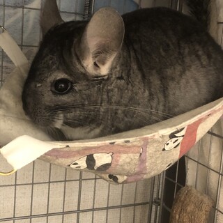 沢山のお問い合わせありがとうございました！