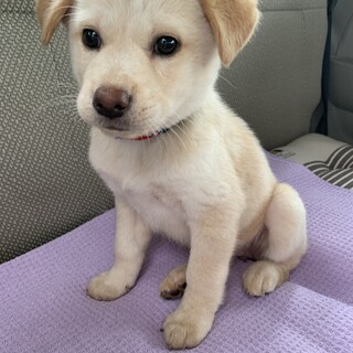 里親さま決まりました☆