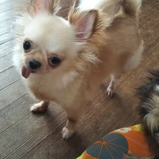 多数のご応募頂きありがとうございます。