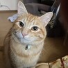 かずんぼ