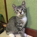 甘えん坊でおっとりタイプの男の子です