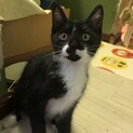 元気いっぱい！おてんばな女の子です