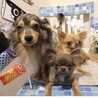 ３匹バッチリそろったよ♡