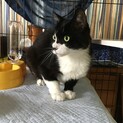 人大好き甘えん坊のタマくん