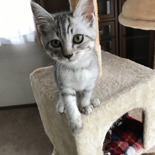 ありがとうございました