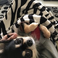 ラブ