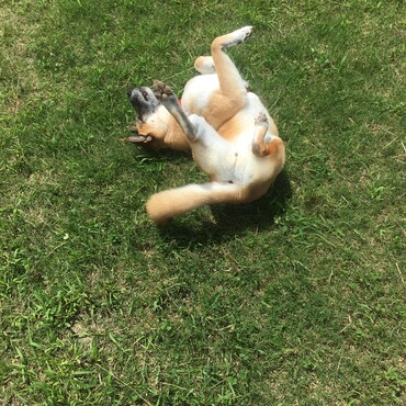 の写真