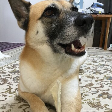 の写真