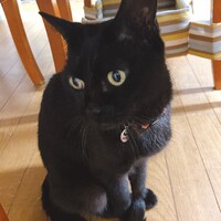 みー