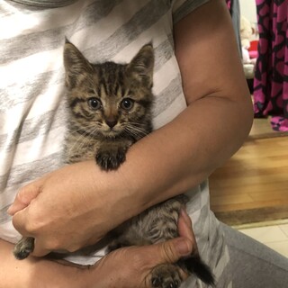 とても可愛い女の子ももちゃん。