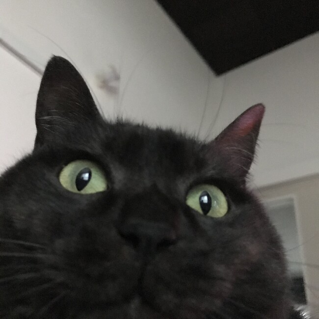 すまいりー^.灬.^のカバー写真