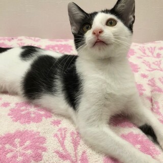 見学大歓迎　性格よしのなごむくん