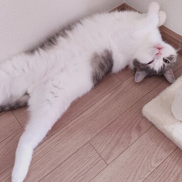 の写真