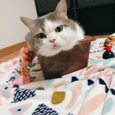 の写真