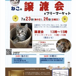 ねこの譲渡会&フリーマーケット
