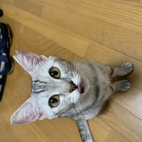 雫