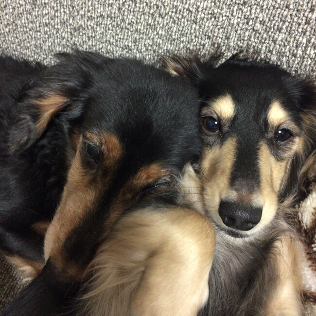 はるる88のカバー写真