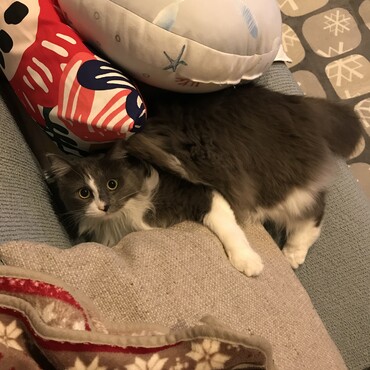 の写真
