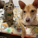 猫ちゃんとも仲良し！神秘的で個性的な女の子