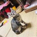 元気な美人女の子