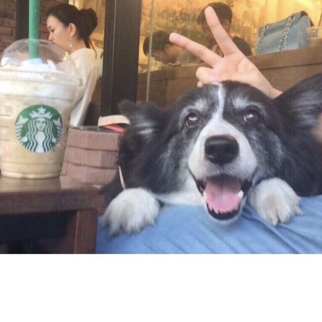 MERRY.Fのカバー写真