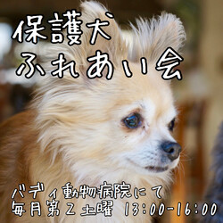 大倉山プチハピふれあい会