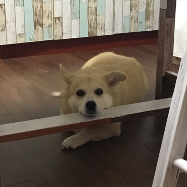 の写真