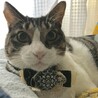 meya