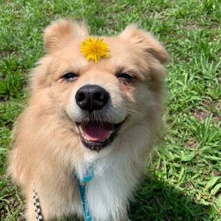 笑顔がかわいいとうやくん 6歳♂