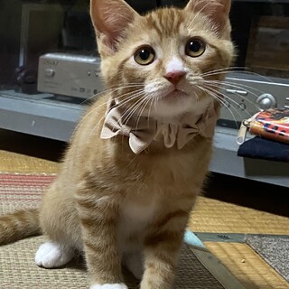 うるる君^_^