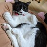 あずき