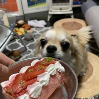 レバー