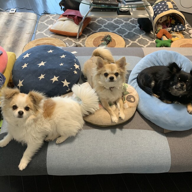 キモコンのカバー写真