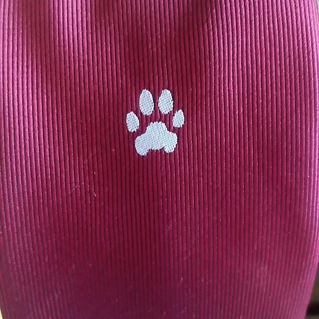 ごしゃくのカバー写真