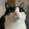 りょうまむ