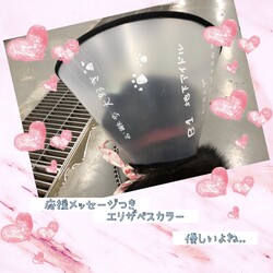 「フロアライト？いえ、ブラック君です！→譲渡決定！」サムネイル2