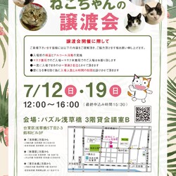 ねこざんまい譲渡会@浅草橋