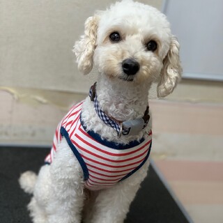 人が大好き♪ツナ君