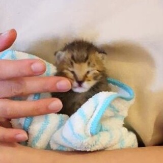 すくすく成長中★さんまくん