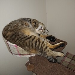 みぃーにゃが超元気！！(^^♪